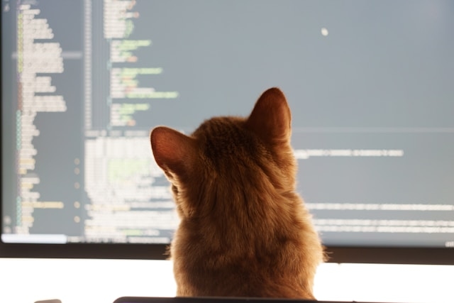 Building tiny file Cleaner First Electron Vibe APP